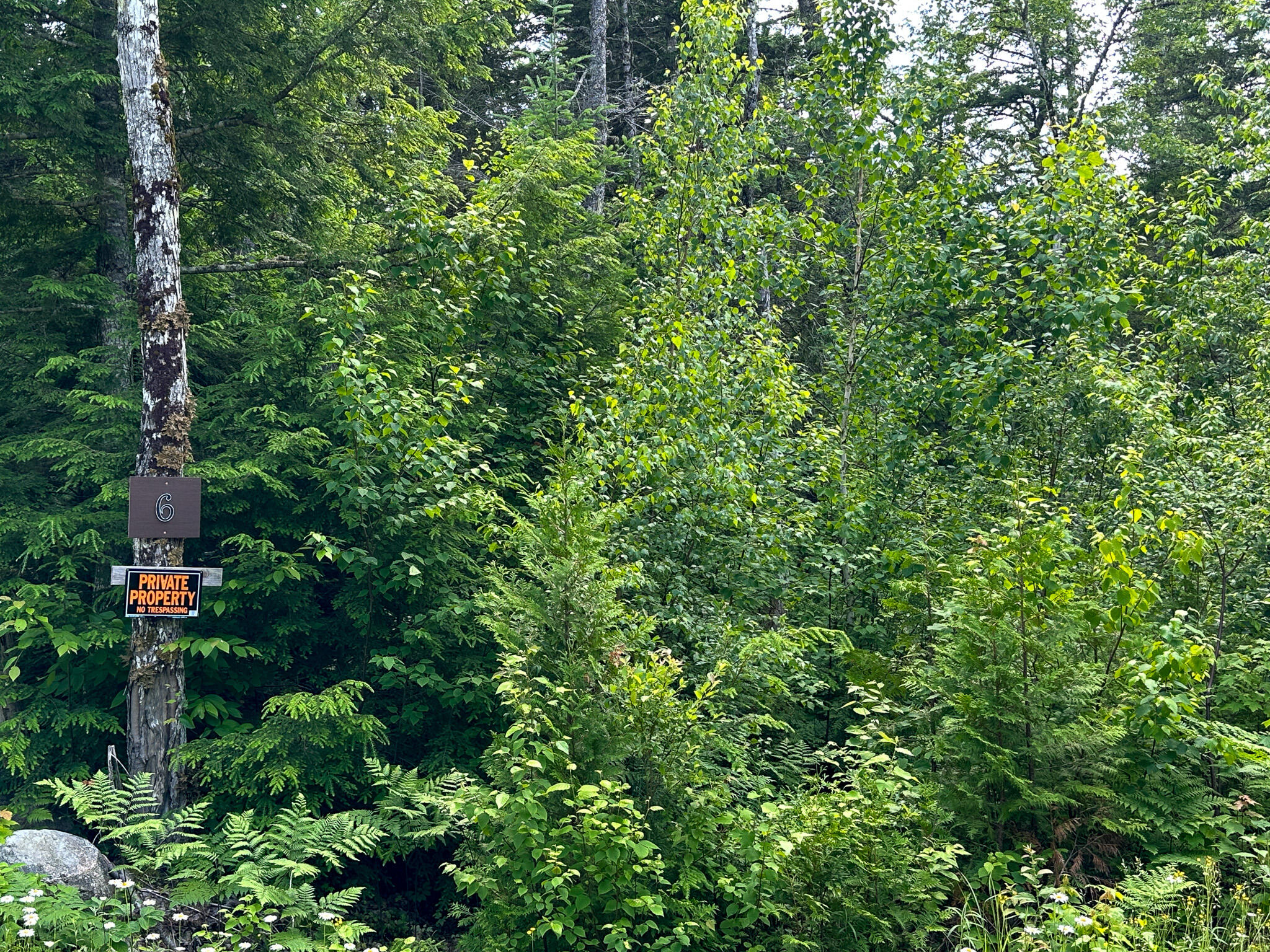 155 Loop Road Lincoln, ME 04457 - Photo 29 of 29 Photo Jun 30 2023, 2 48 14 PM