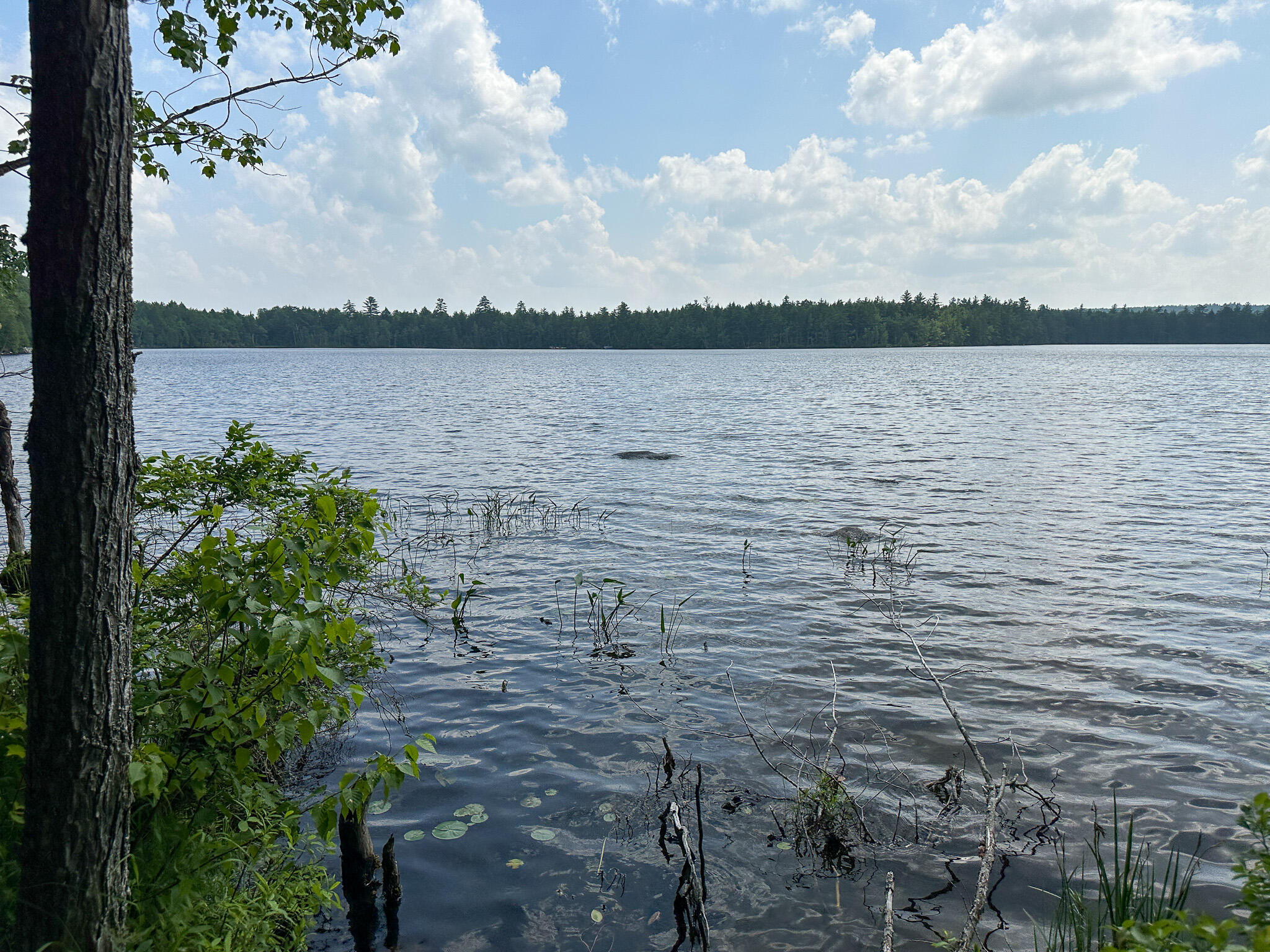 155 Loop Road Lincoln, ME 04457 - Photo 4 of 29 Photo Jun 30 2023, 2 42 35 PM