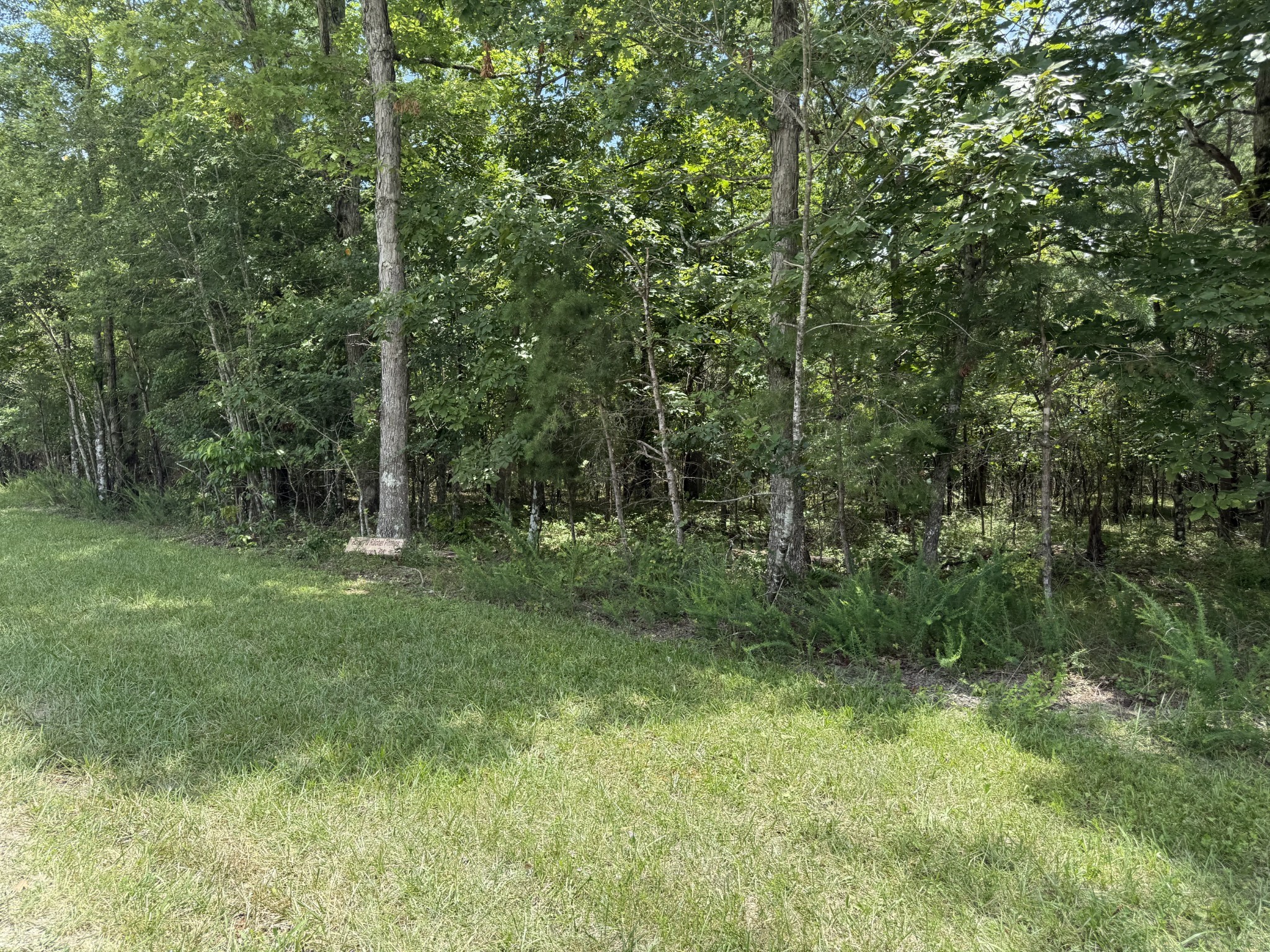 0 Long Branch Road Spencer, TN 38585 - Photo 1 of 13