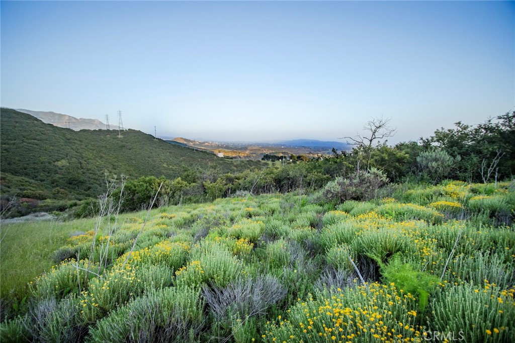 0 North Fairview Avenue Goleta, CA 93117 - Photo 11 of 30 a view of a green field with lots of bushes