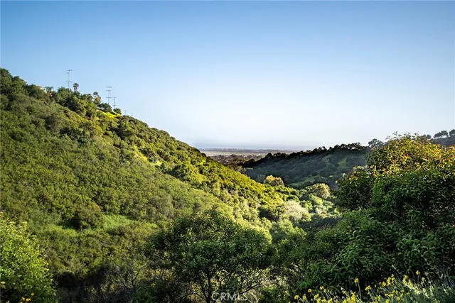 a view of a lush green field