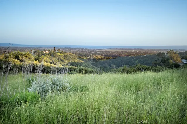 a view of a lush green outdoor space with a lake view