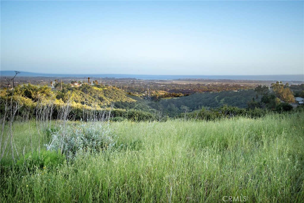 0 North Fairview Avenue Goleta, CA 93117 - Photo 5 of 30 a view of a lush green field