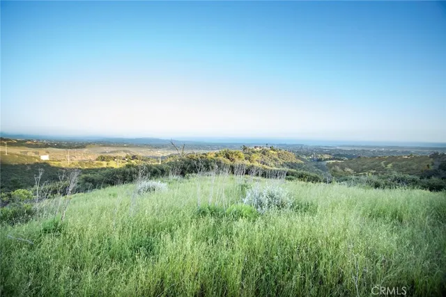 a view of a lush green field