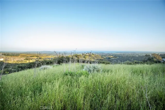 a view of a lush green space with sea