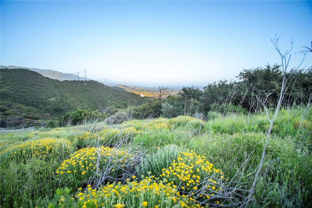 0 North Fairview Avenue Goleta, CA 93117 - Photo 9 of 30 a view of a lush green space with sea