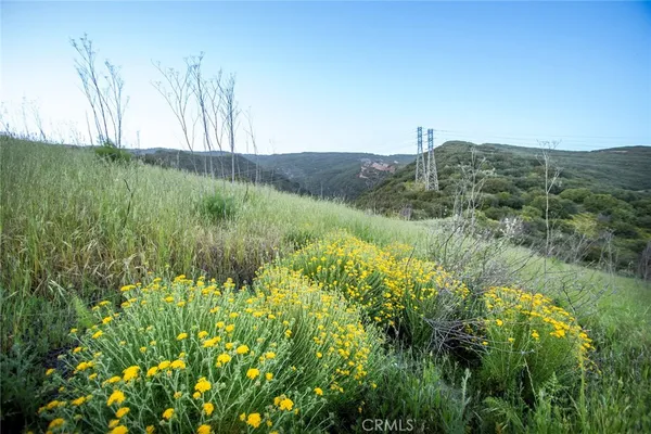 a view of a green field with lots of bushes