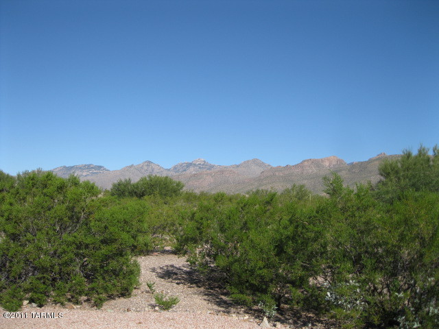 10814 East Limberlost Road Tucson, AZ 85749 - Photo 15 of 15