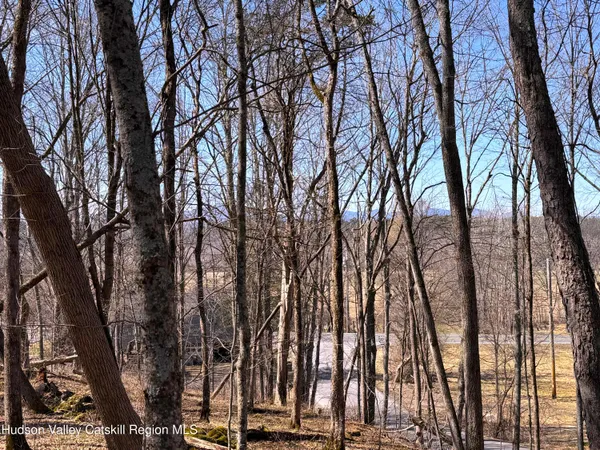 a view of house with trees