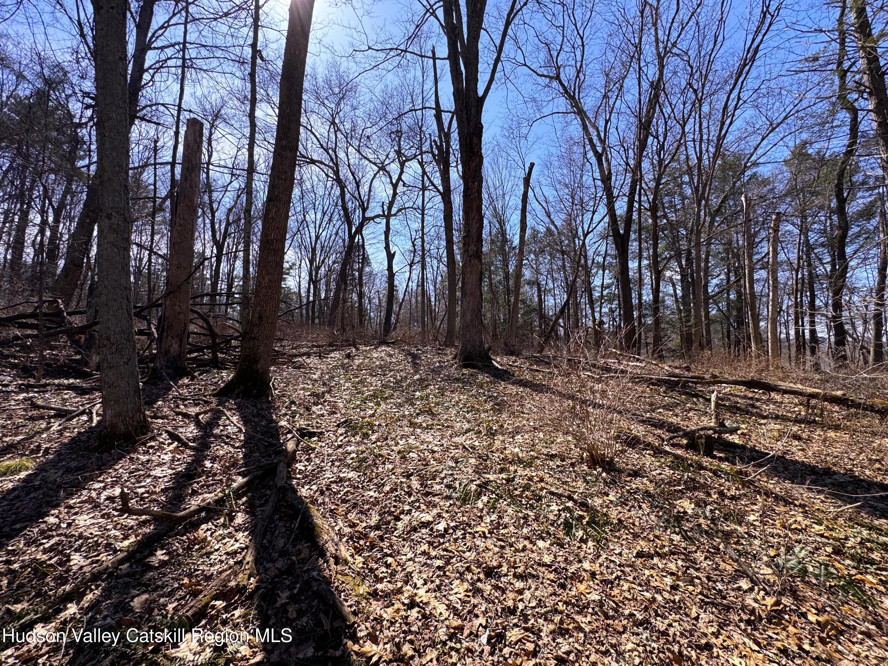 110 Marcott Road Kingston, NY 12401 - Photo 2 of 11 a view of house with trees