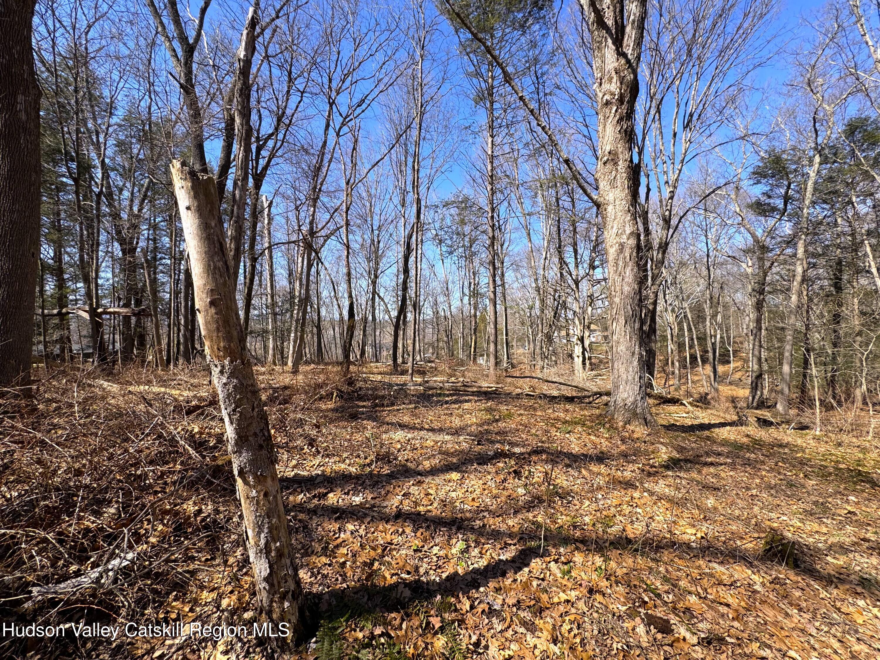 110 Marcott Road Kingston, NY 12401 - Photo 3 of 11 a view of a yard with trees