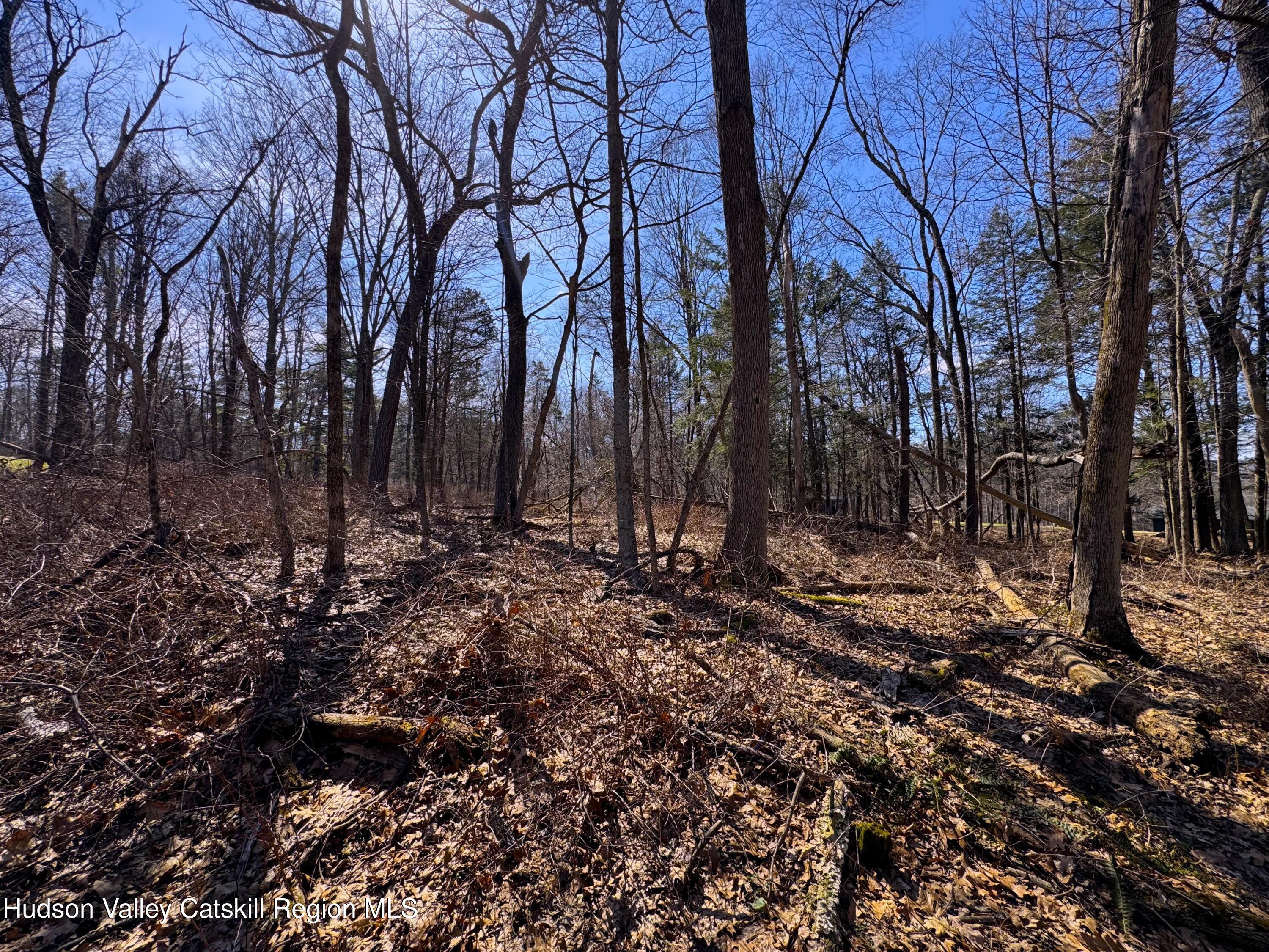 110 Marcott Road Kingston, NY 12401 - Photo 7 of 11 a view of a forest covered with trees