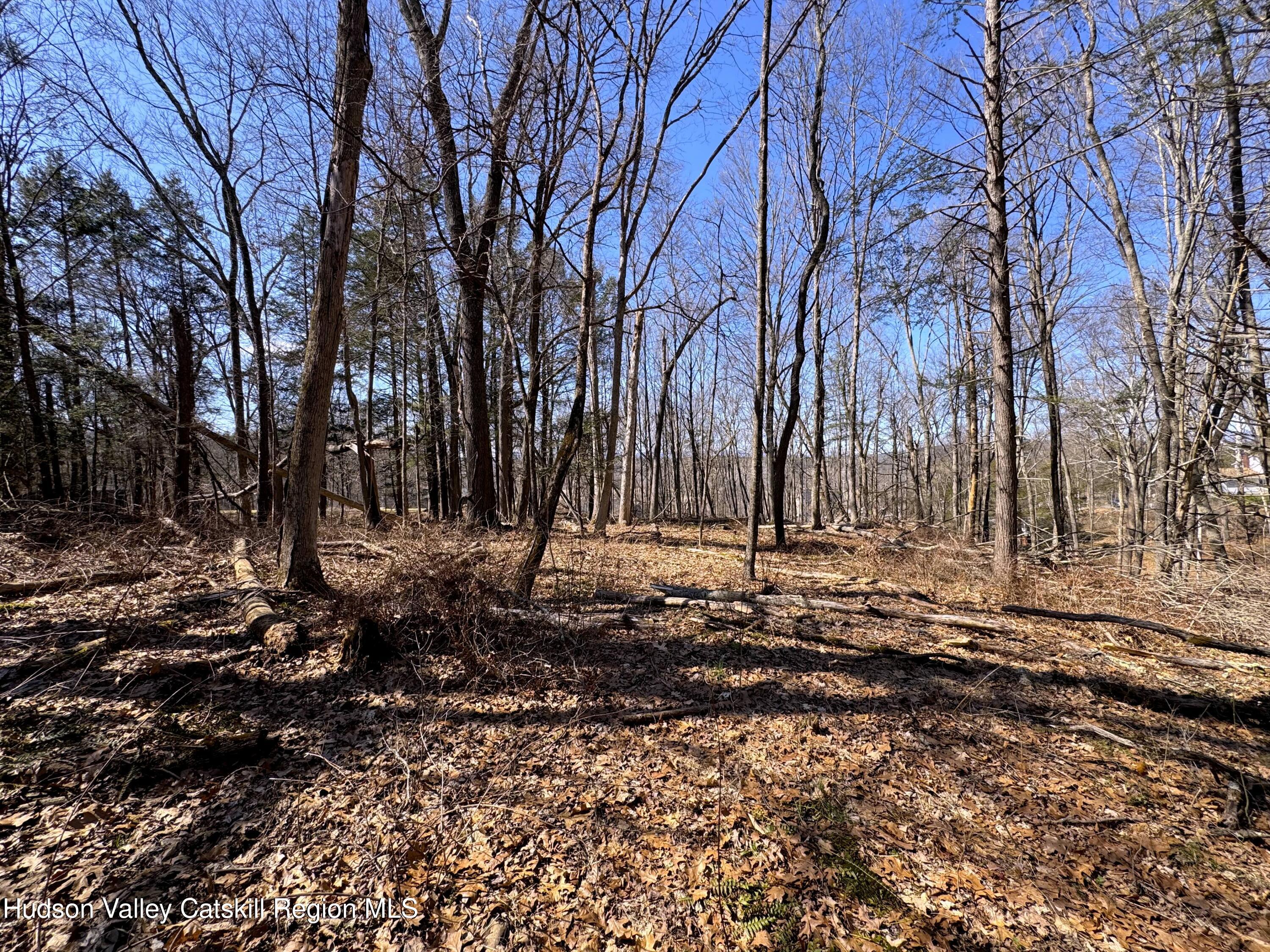 110 Marcott Road Kingston, NY 12401 - Photo 8 of 11 a view of a backyard with large trees