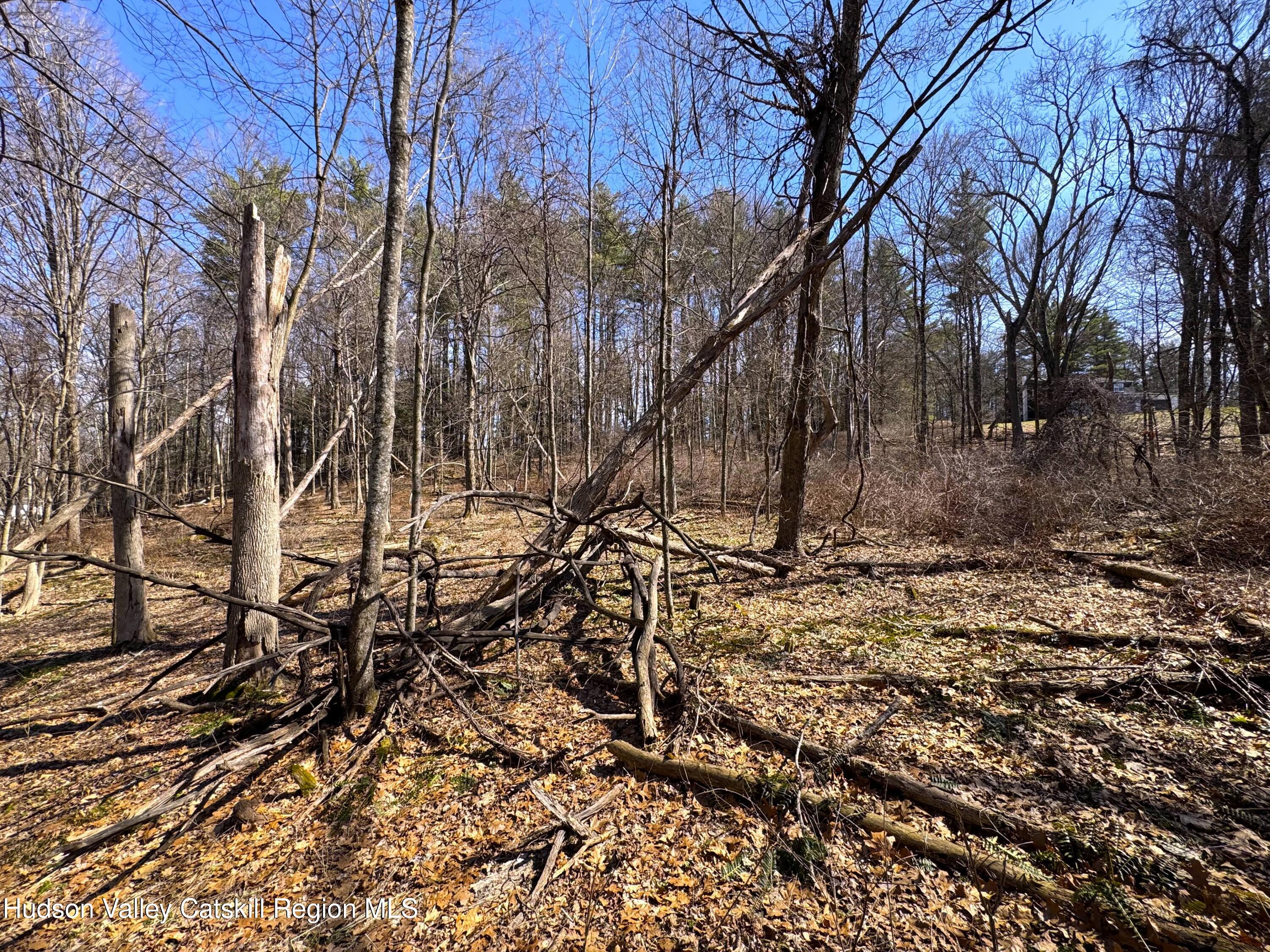 110 Marcott Road Kingston, NY 12401 - Photo 9 of 11 a backyard of a house with lots of green space