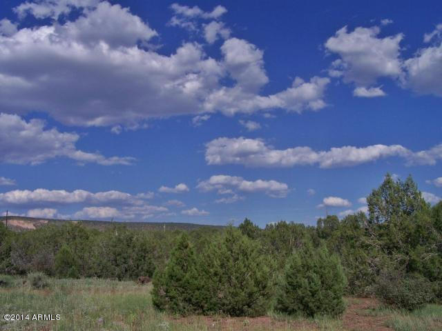 3025 Double A Ranch Road, Unit 415 Williams, AZ 86046 - Photo 3 of 6 20130814025930330681000000-o