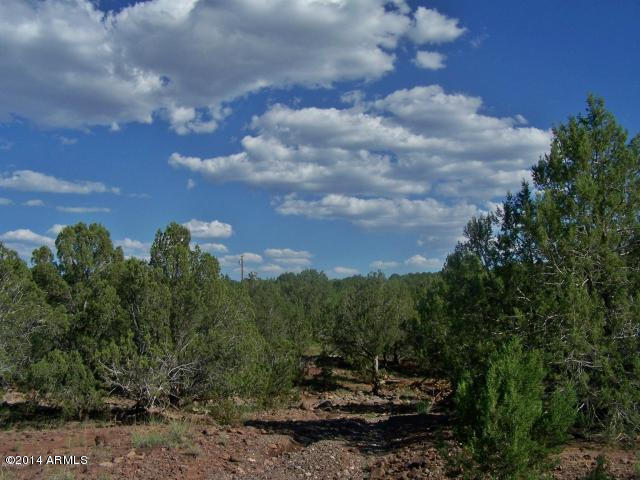 3025 Double A Ranch Road, Unit 415 Williams, AZ 86046 - Photo 4 of 6 20130814030054091989000000-o