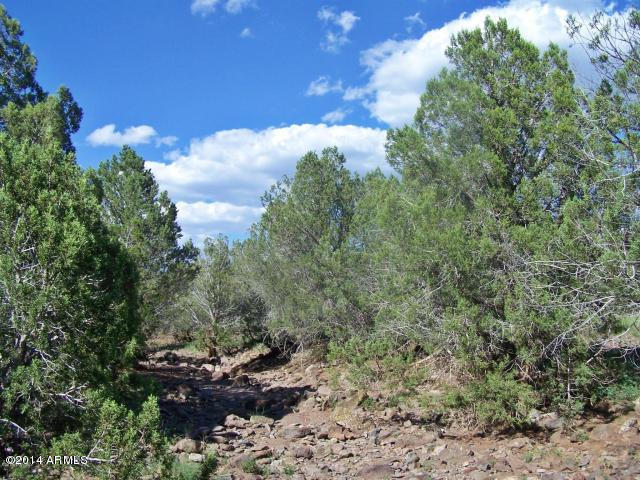 3025 Double A Ranch Road, Unit 415 Williams, AZ 86046 - Photo 6 of 6 20130814030429282925000000-o