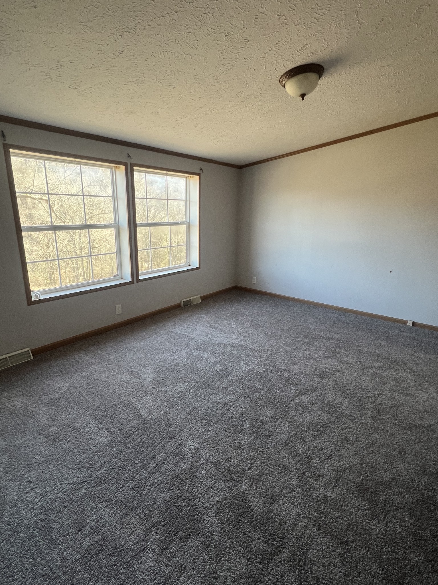 697 Club Springs Road Buffalo Valley, TN 38548 - Photo 13 of 29 an empty room with a empty space and windows