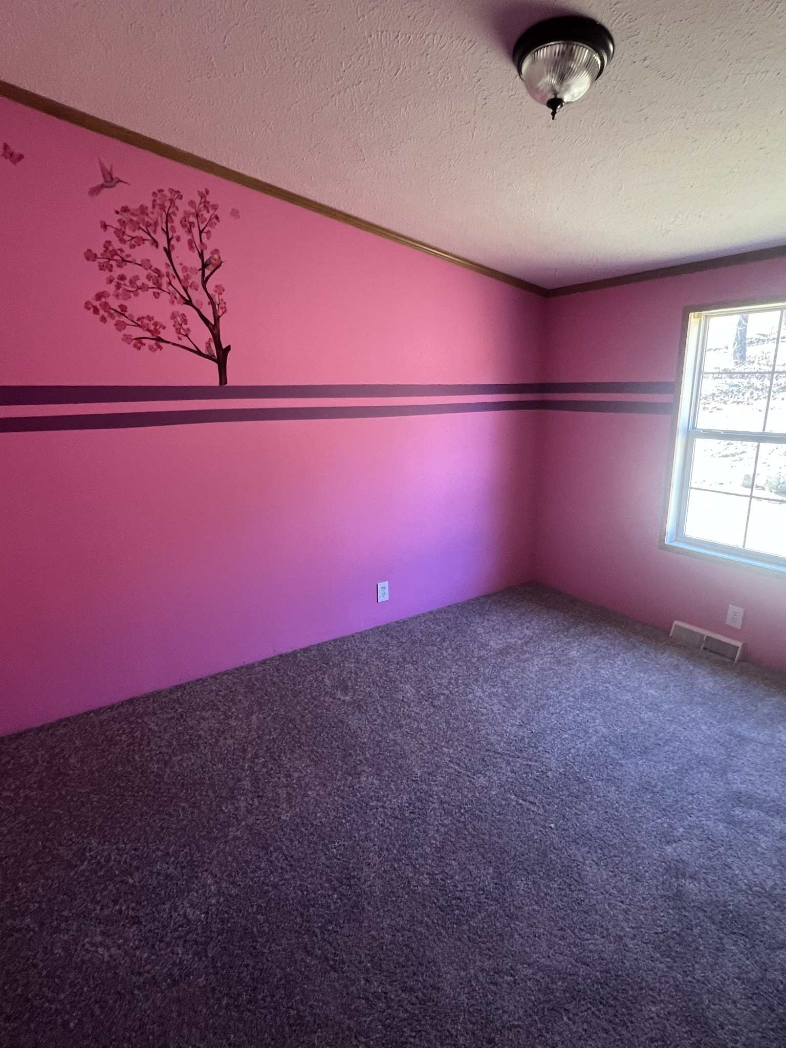 697 Club Springs Road Buffalo Valley, TN 38548 - Photo 18 of 29 an empty room with windows