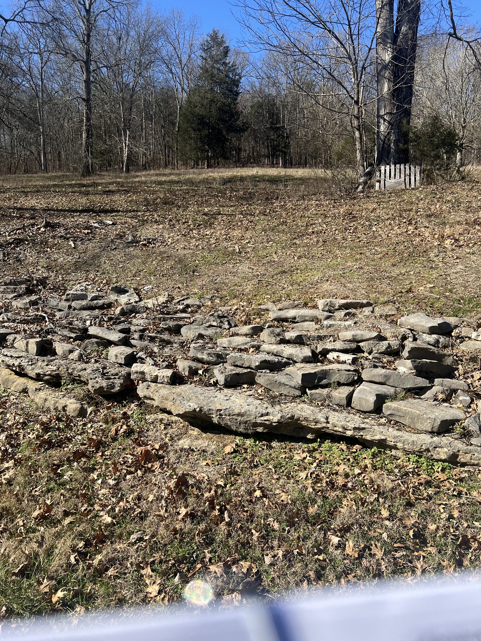 697 Club Springs Road Buffalo Valley, TN 38548 - Photo 22 of 29 a view of a yard