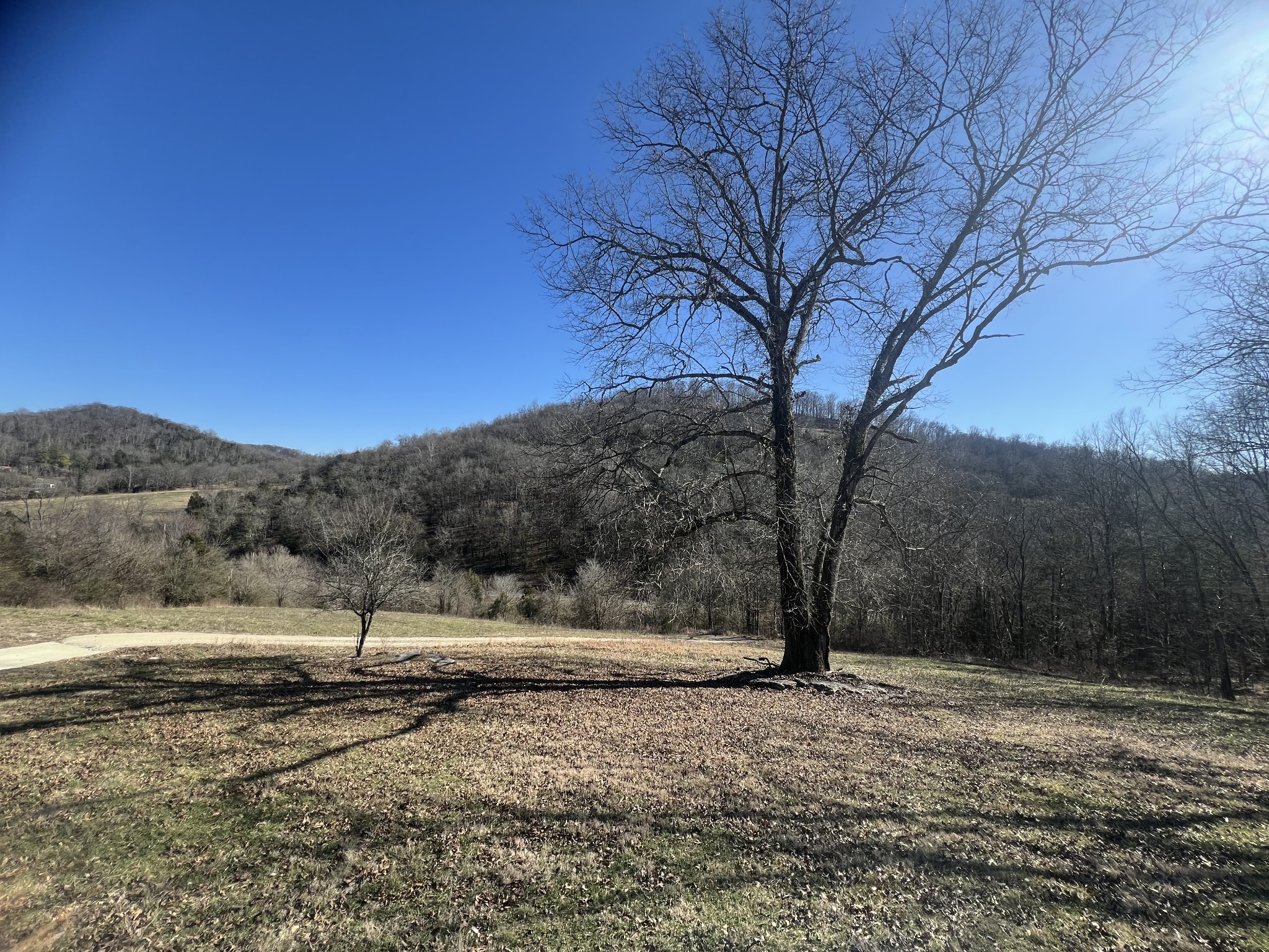 697 Club Springs Road Buffalo Valley, TN 38548 - Photo 25 of 29 a view of dirt yard with mountain view