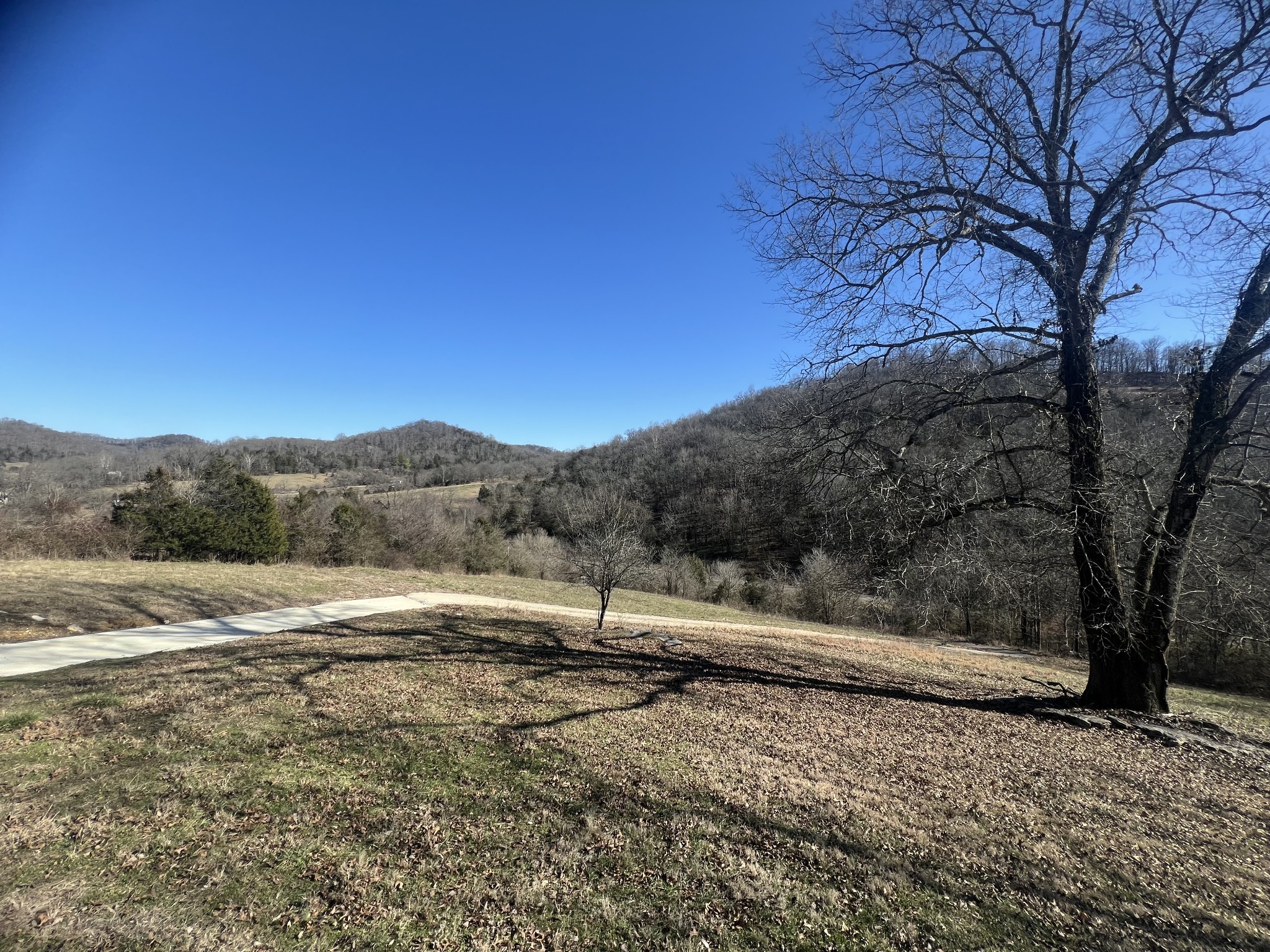 697 Club Springs Road Buffalo Valley, TN 38548 - Photo 26 of 29 a view of outdoor space and yard