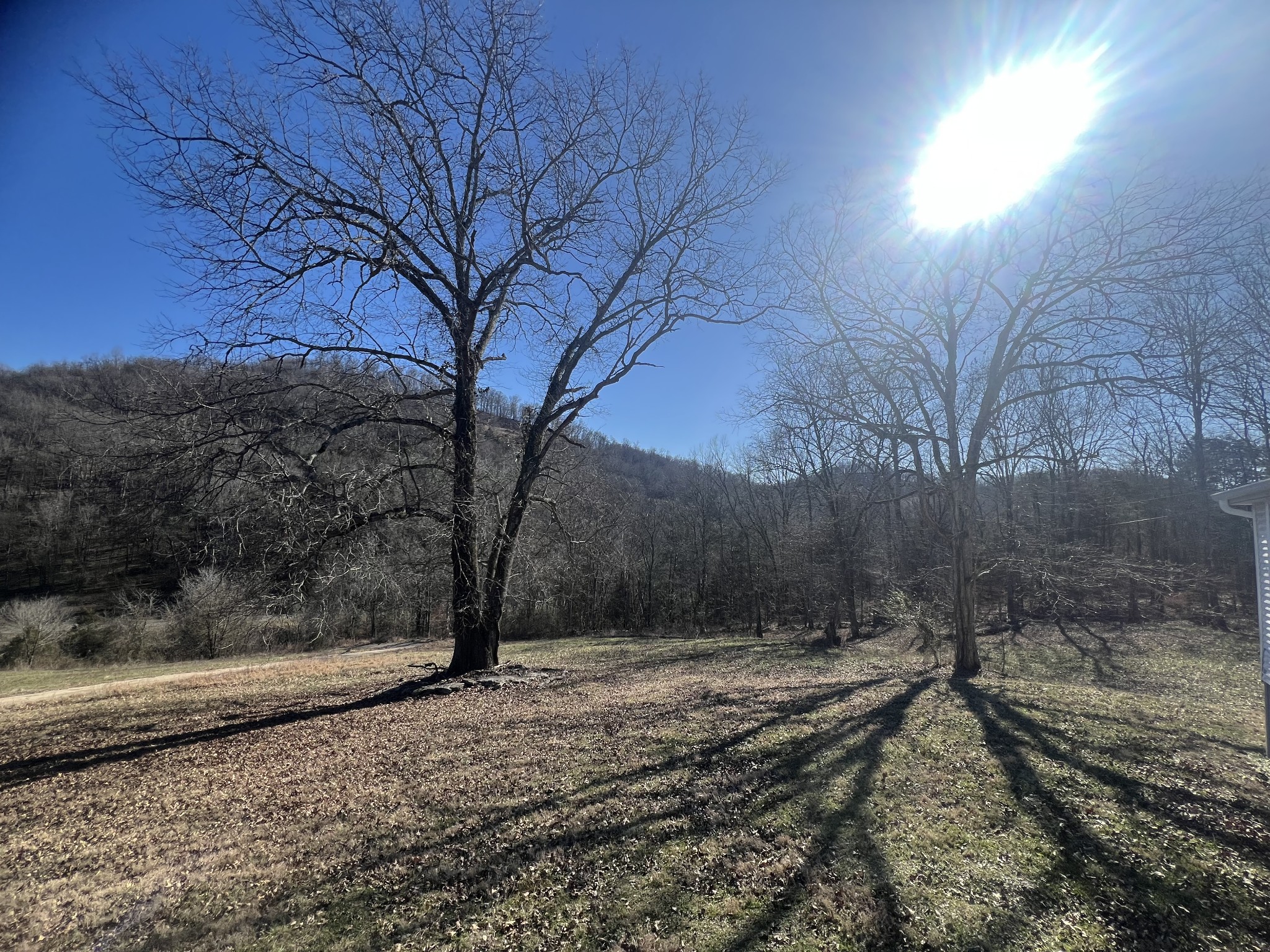 697 Club Springs Road Buffalo Valley, TN 38548 - Photo 27 of 29