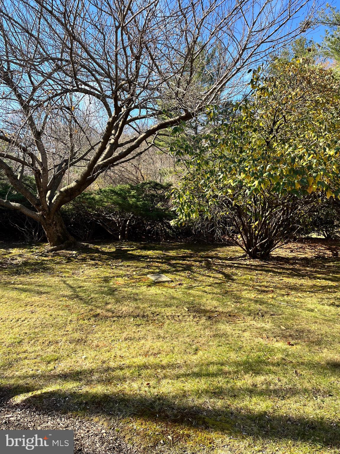 1815 Valley Glen Road, Unit 140 Elkins Park, PA 19027 - Photo 4 of 19 a view of swimming pool with an outdoor space and seating area