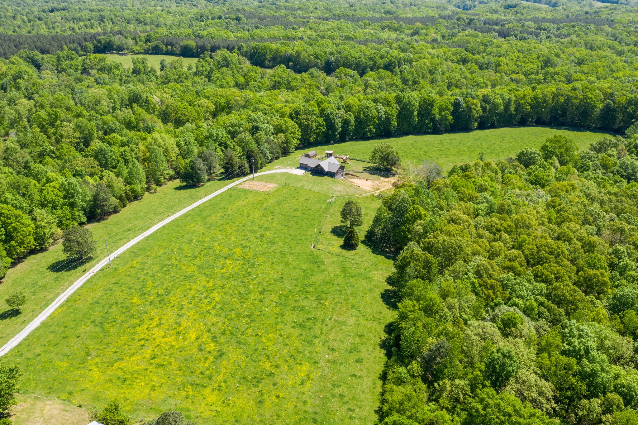3238 Womble Ridge Road Ethridge, TN 38456 - Photo 3 of 50 Gallery Image 3