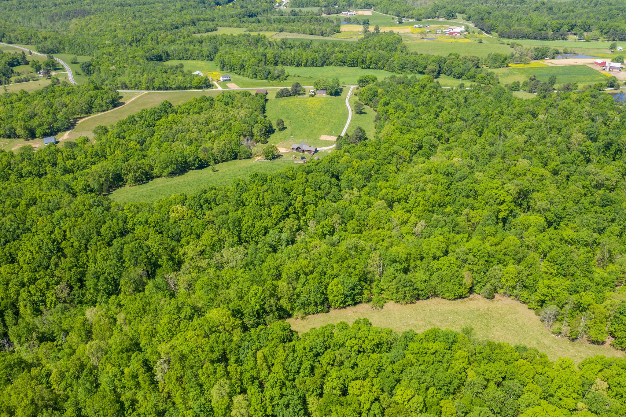 3238 Womble Ridge Road Ethridge, TN 38456 - Photo 41 of 50 Gallery Image 41
