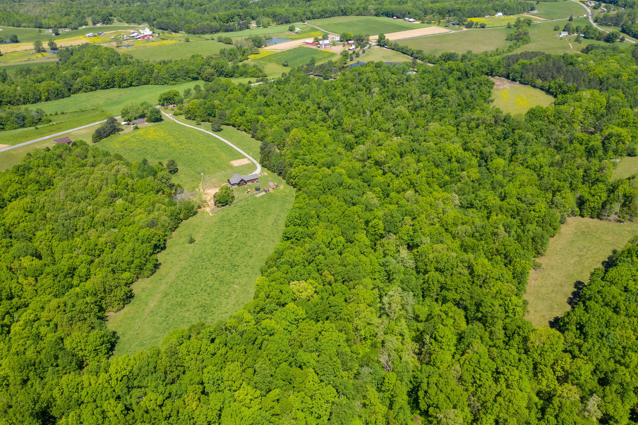 3238 Womble Ridge Road Ethridge, TN 38456 - Photo 42 of 50 Gallery Image 42