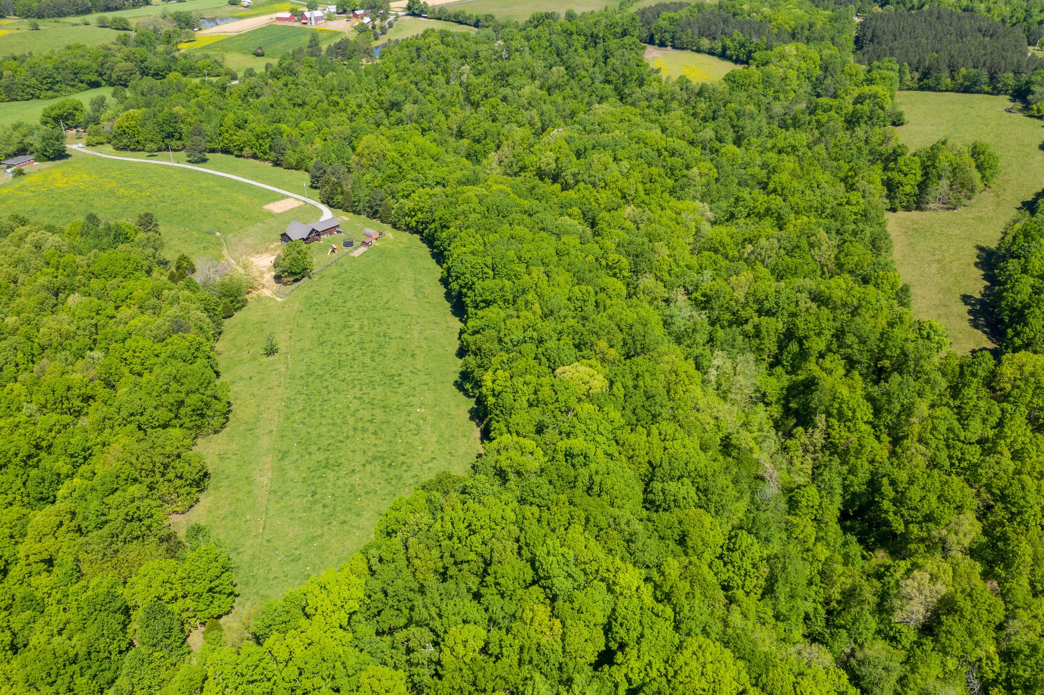 3238 Womble Ridge Road Ethridge, TN 38456 - Photo 43 of 50 Gallery Image 43