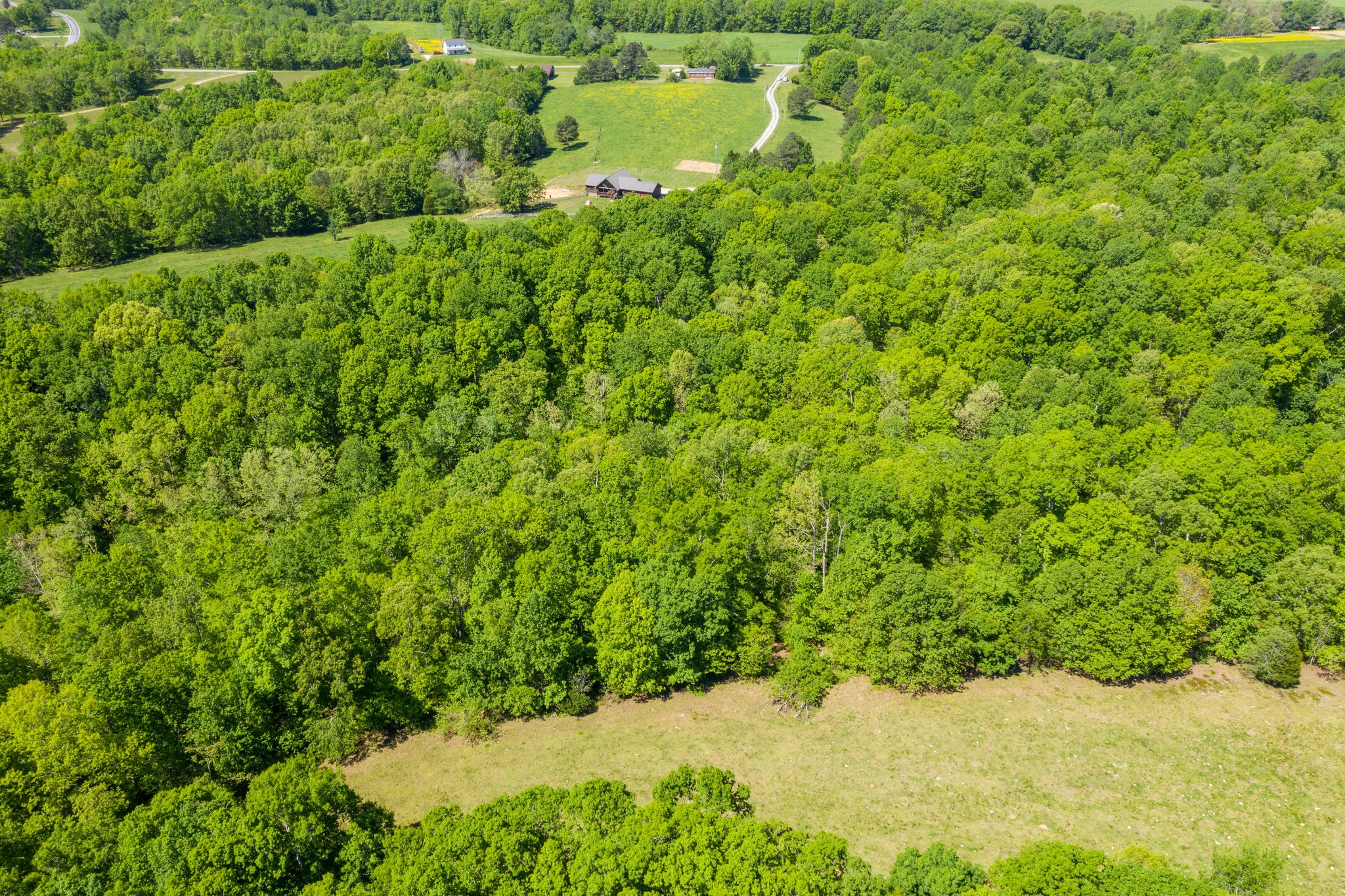 3238 Womble Ridge Road Ethridge, TN 38456 - Photo 45 of 50 Gallery Image 45