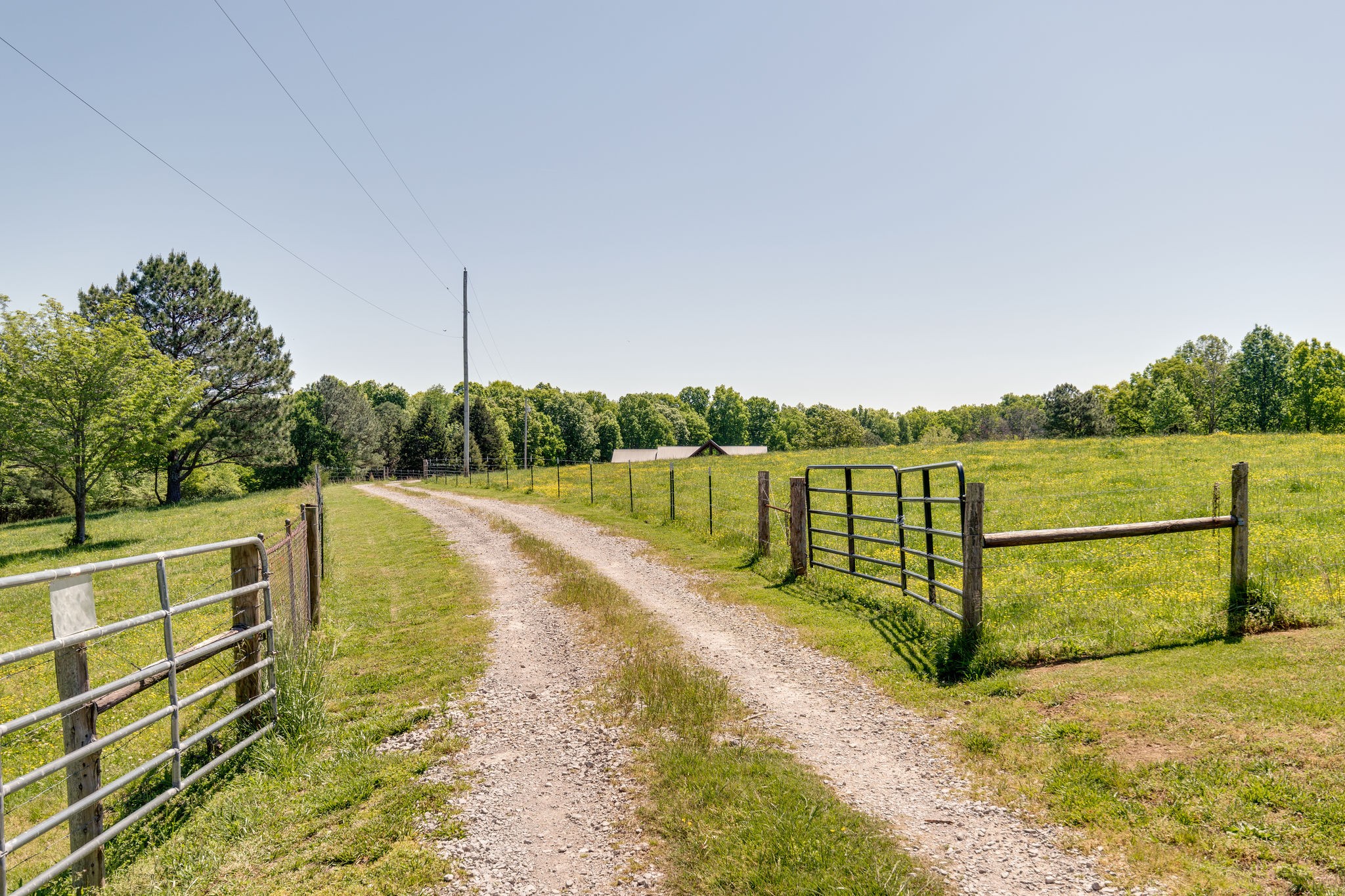 3238 Womble Ridge Road Ethridge, TN 38456 - Photo 7 of 50 Gallery Image 7