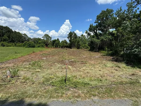 a view of a yard with a house