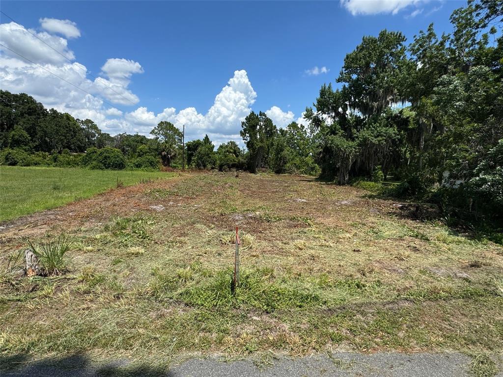 a view of a yard with a house