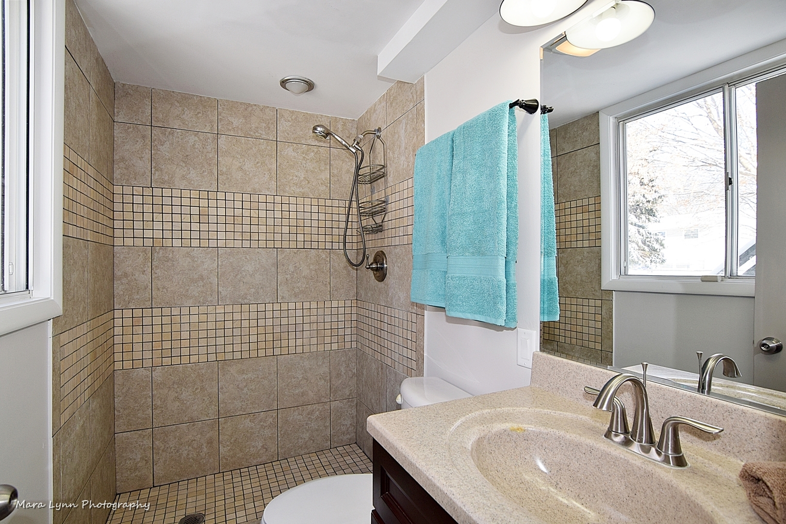 1621 South Tyler Road St. Charles, IL 60174 - Photo 8 of 24