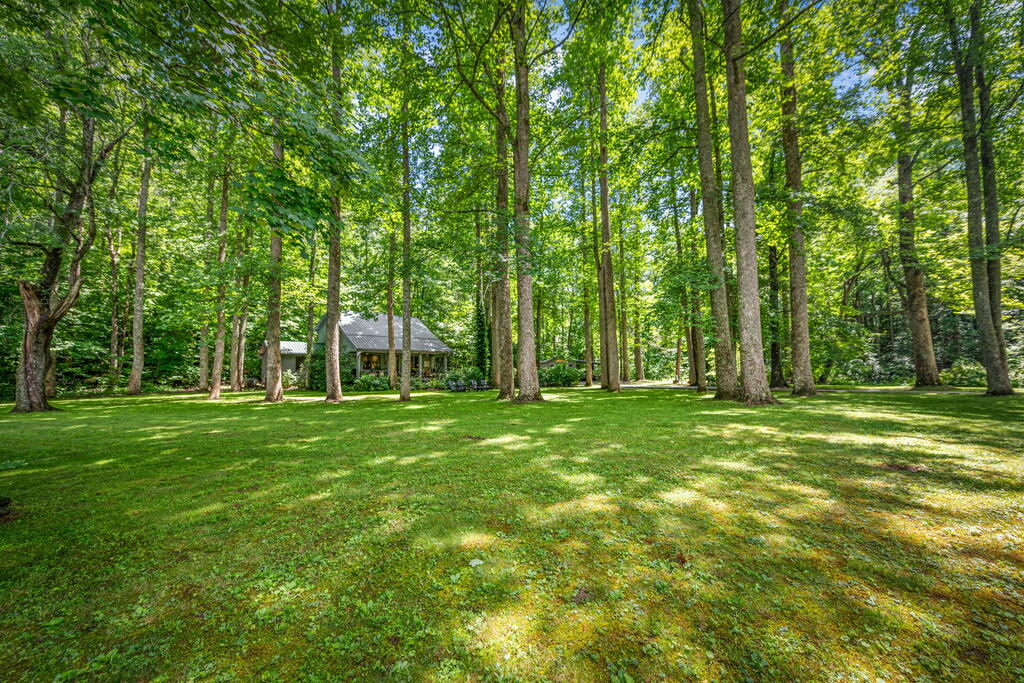 2977 Highway 2 Blue Ridge, GA 30513 - Photo 9 of 87 Gallery Image 9