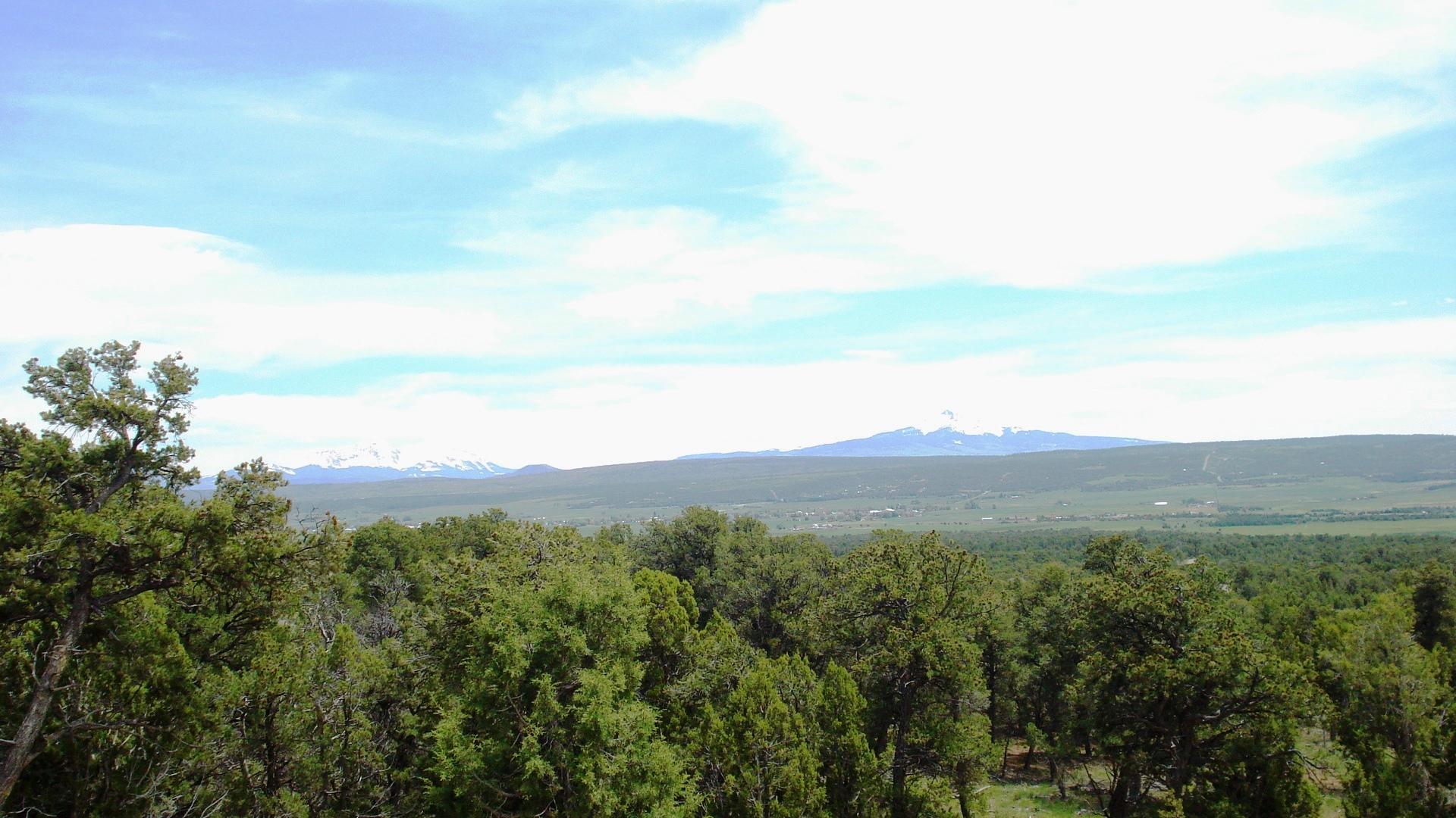 504 Ragsdale Road Norwood, CO 81423 - Photo 8 of 17 a view of a lush green space with sea