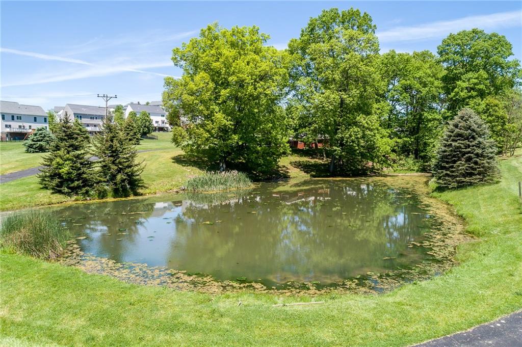 135 Ohare Road Canonsburg, PA 15317 - Photo 19 of 25 Pond