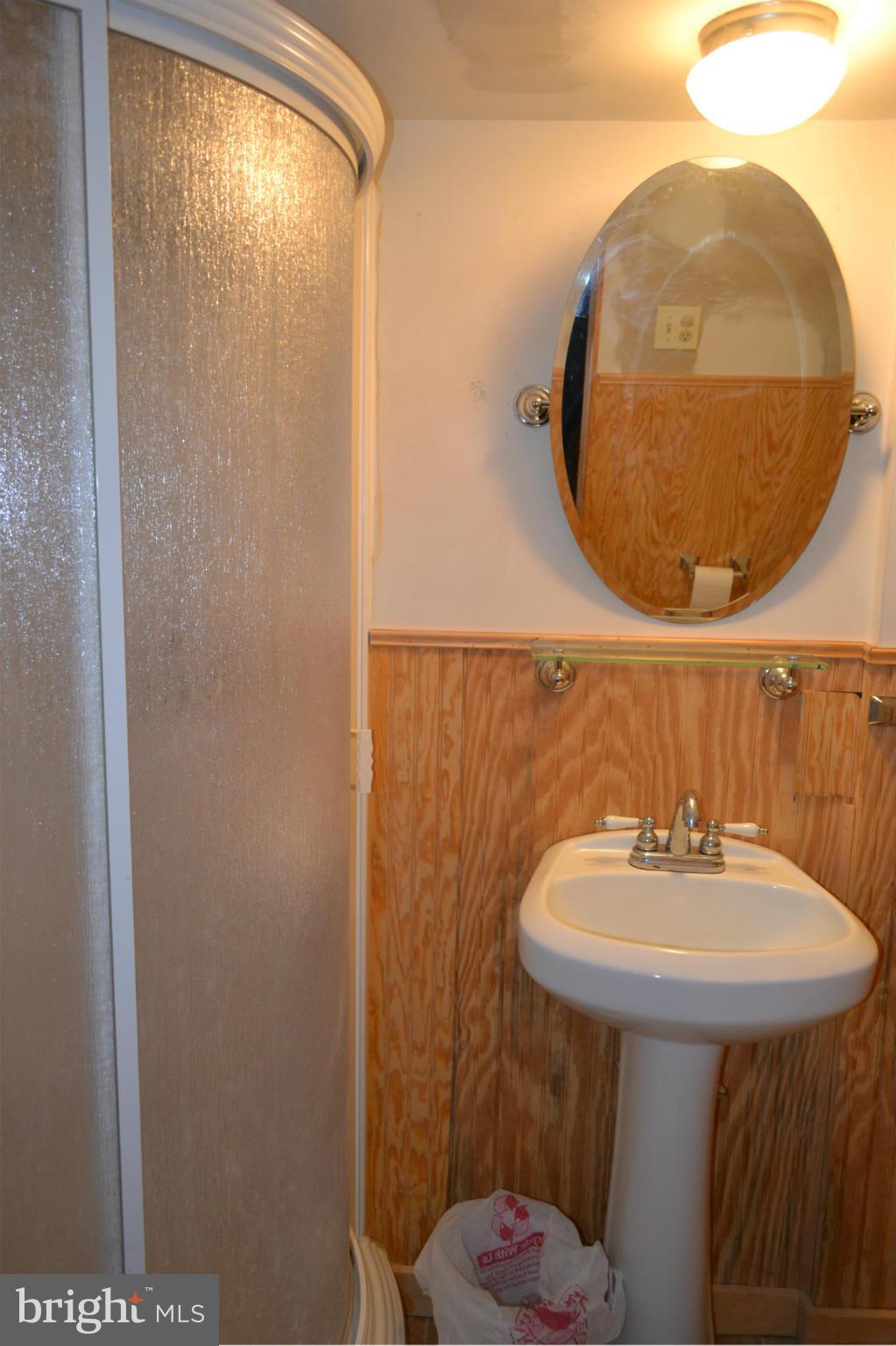842 Bradhurst Road Baltimore, MD 21212 - Photo 4 of 28 a bathroom with a sink and a mirror