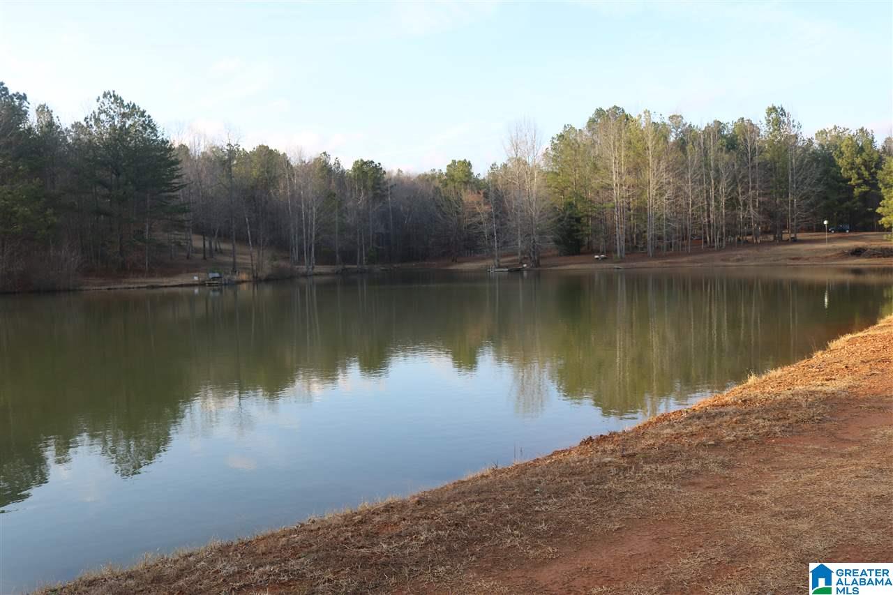 0 County Road 928, Unit 36 Delta, AL 36258 - Photo 17 of 20