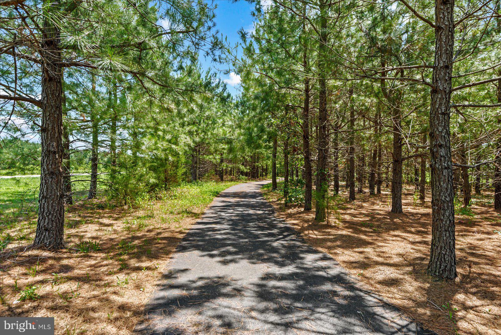 6325 Pointer Lane King George, VA 22485 - Photo 43 of 45