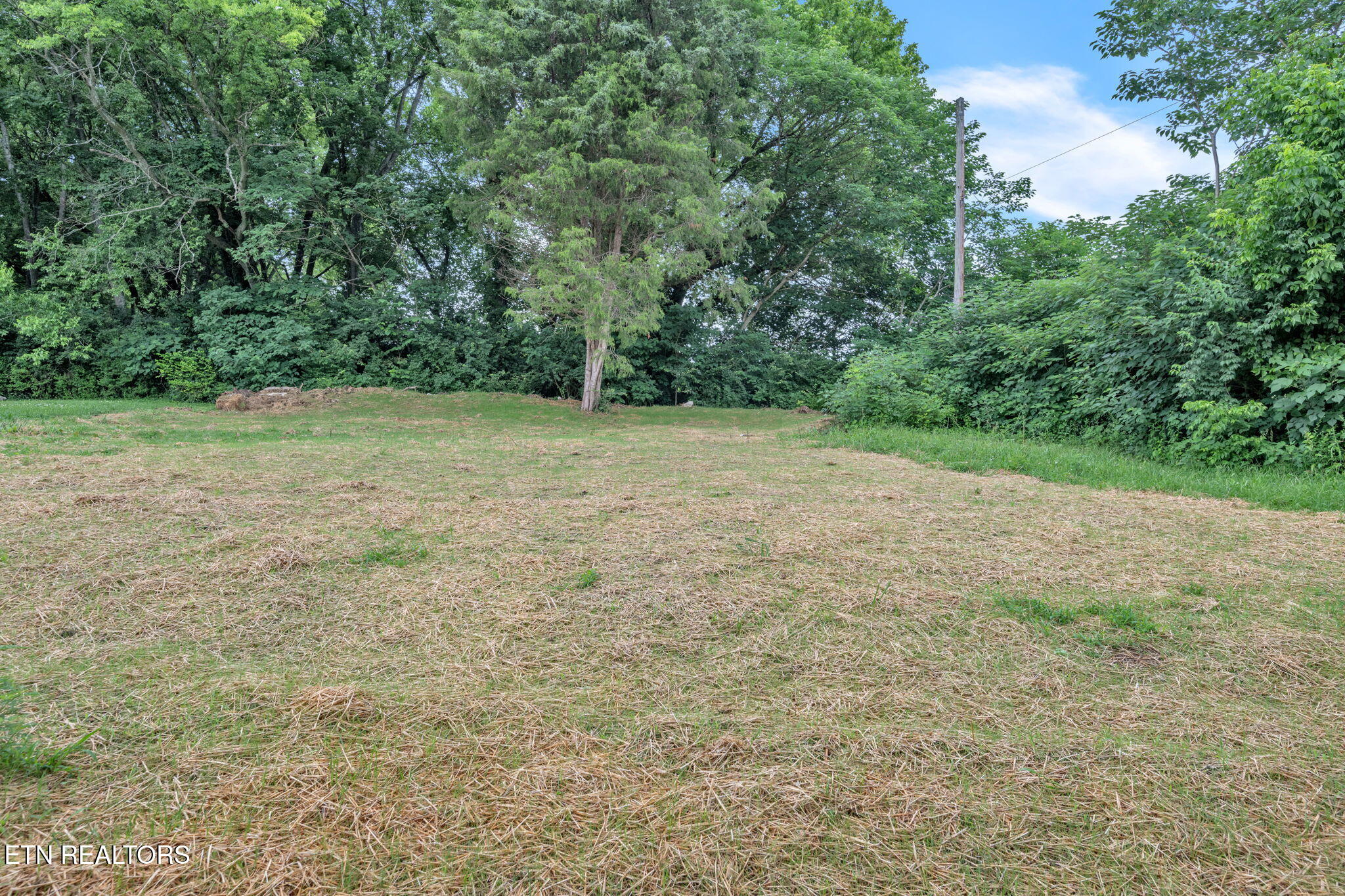 814 Hendrickson Street Clinton, TN 37716 - Photo 23 of 23 21-web-or-mls-814 Hendrickson-9819