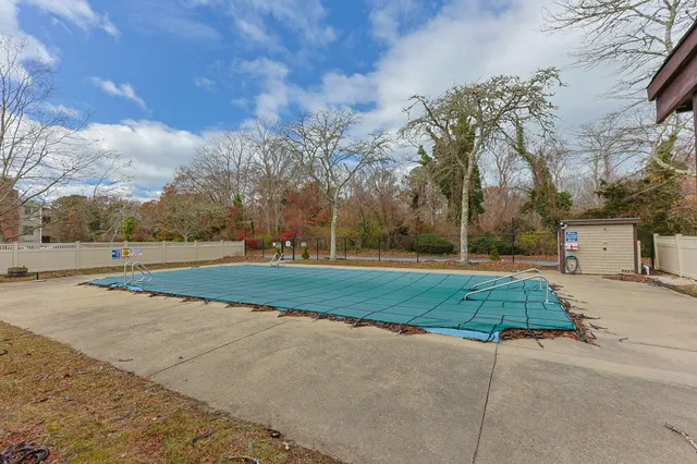 a green field with tree in front of it