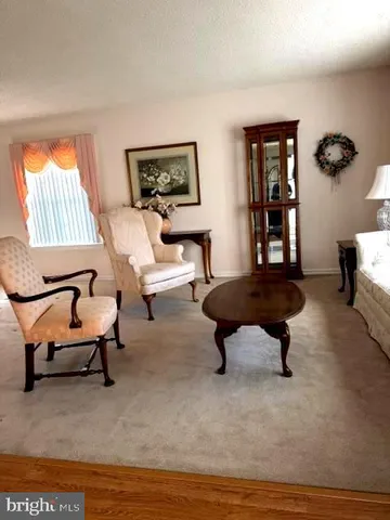 a living room with furniture rug and window