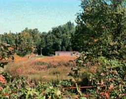 5143 Beech Grv Road Lebanon Junction, KY 40150 - Photo 1 of 1 Primary Photo