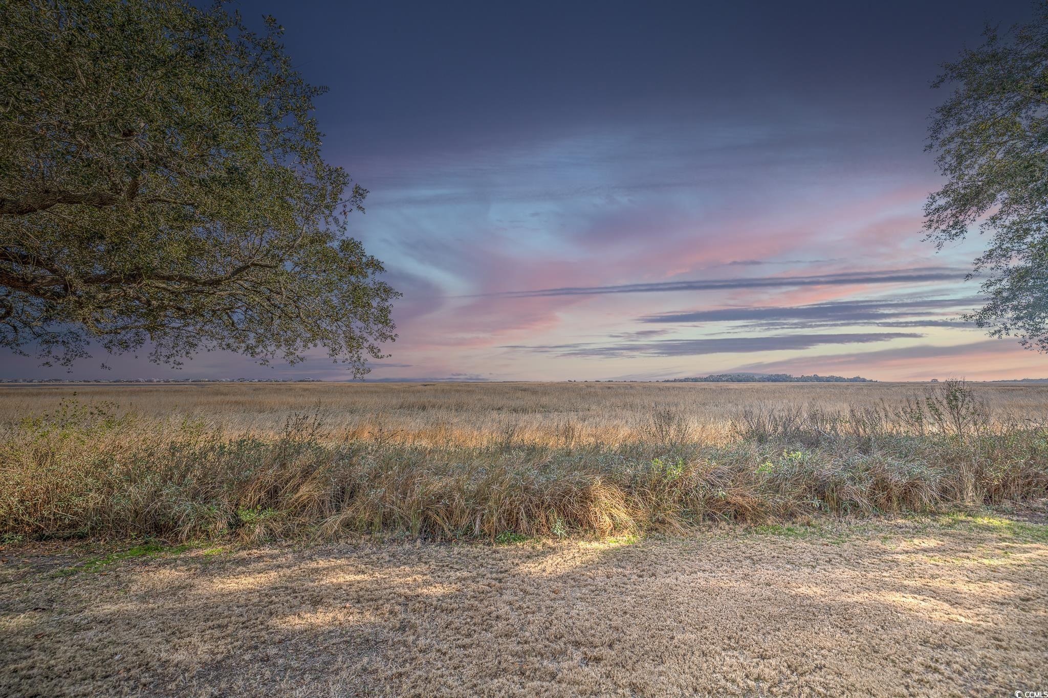4999 Highway 17 Business, Unit 305 Murrells Inlet, SC 29576 - Photo 5 of 27 View of nature