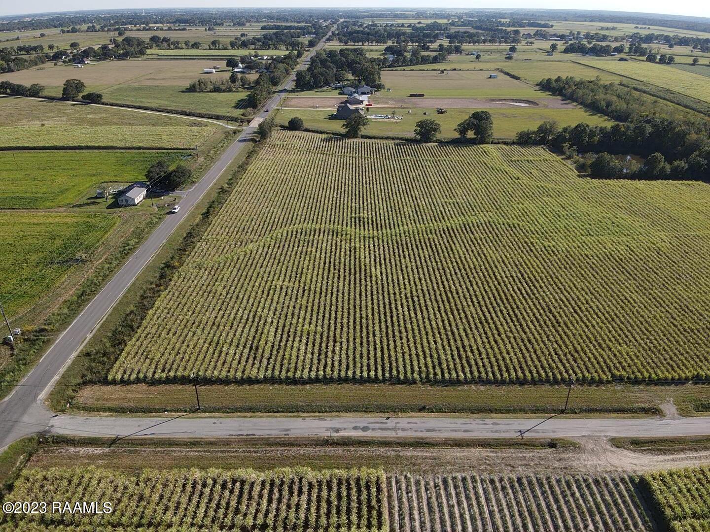 Tbd Albert Road Abbeville, LA 70510 - Photo 5 of 7