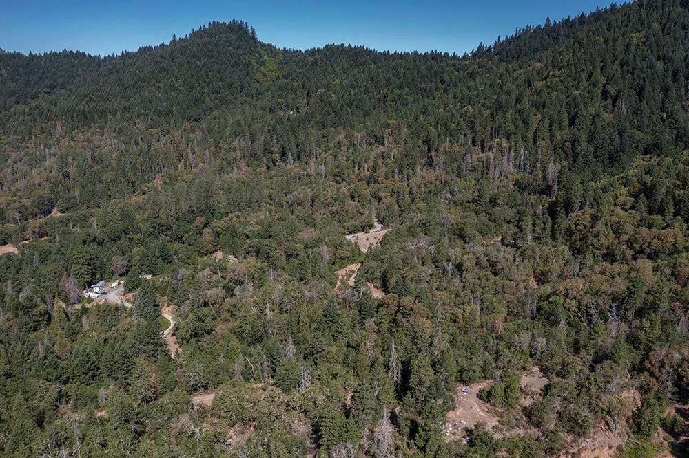 780 Hitching Post Road Grants Pass, OR 97526 - Photo 1 of 21 Shows road to lower house pad and the upper road to shale pit.